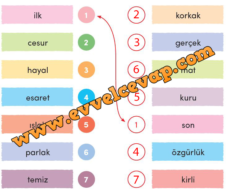 3. Sınıf Türkçe Ders Kitabı Meb Yayınları Sayfa 241 Cevabı