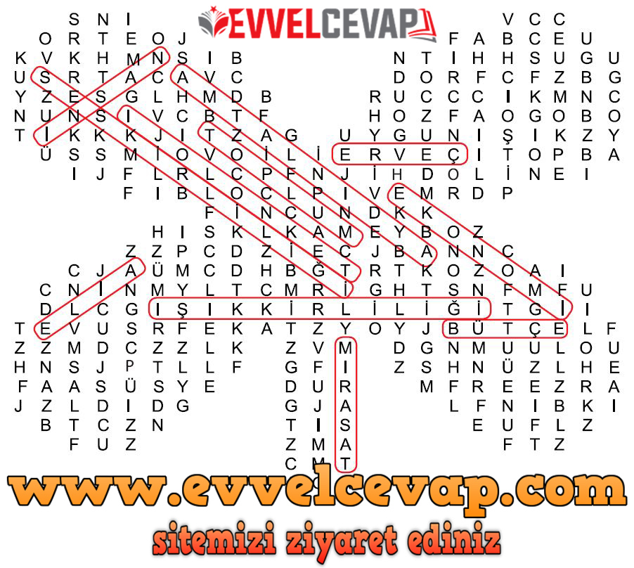 4. Sınıf Fen Bilimleri Ders Kitabı Sayfa 226 Cevabı Meb Yayınları