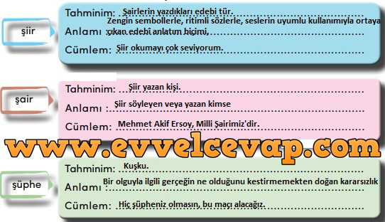 4. Sınıf Türkçe Ders Kitabı Meb Yayınları Sayfa 247 Cevabı