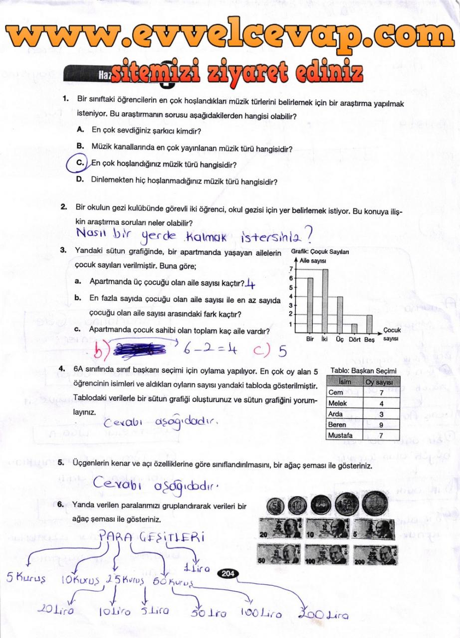 6. Sınıf Berkay Yayıncılık Matematik Ders Kitabı Sayfa 204 Cevabı