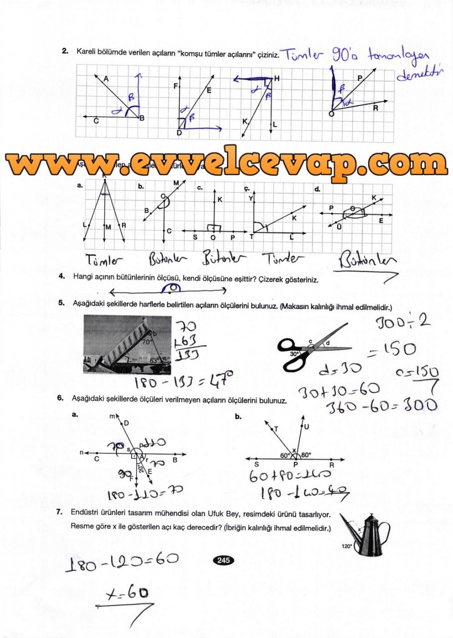 6. Sınıf Berkay Yayıncılık Matematik Ders Kitabı Sayfa 245 Cevabı