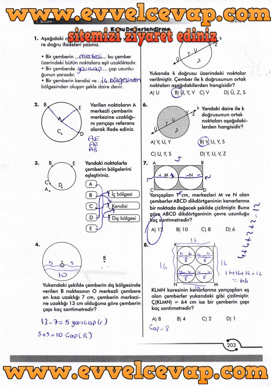 6. Sınıf Meb Yayınları Matematik Ders Kitabı Sayfa 203 Cevabı