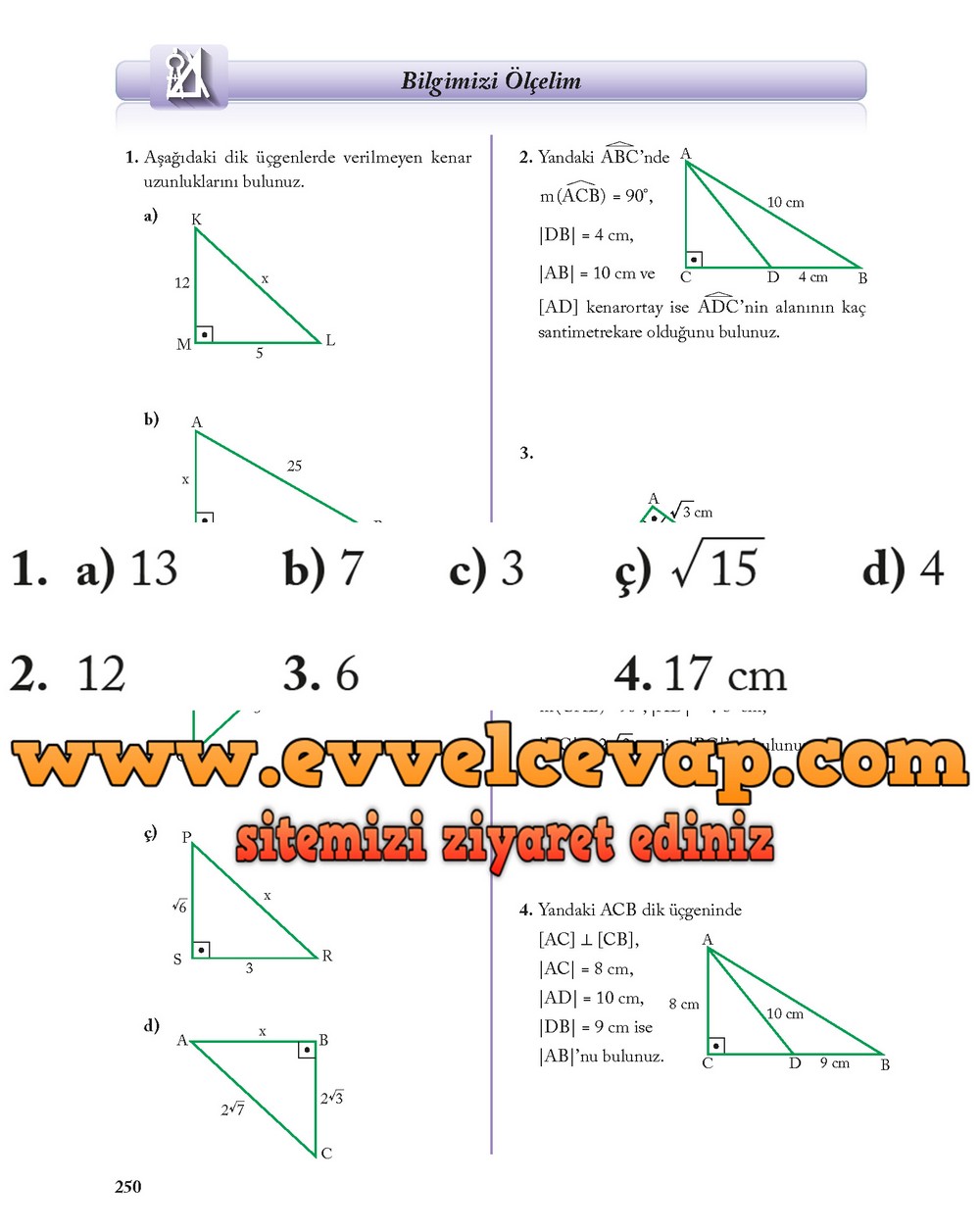 8. Sınıf Ekoyay Yayıncılık Matematik Ders Kitabı Sayfa 250 Cevabı