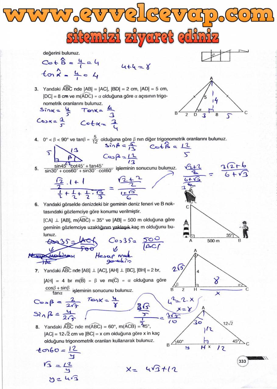 9. Sınıf Ödev Yayınları Matematik Ders Kitabı Sayfa 333 Cevabı