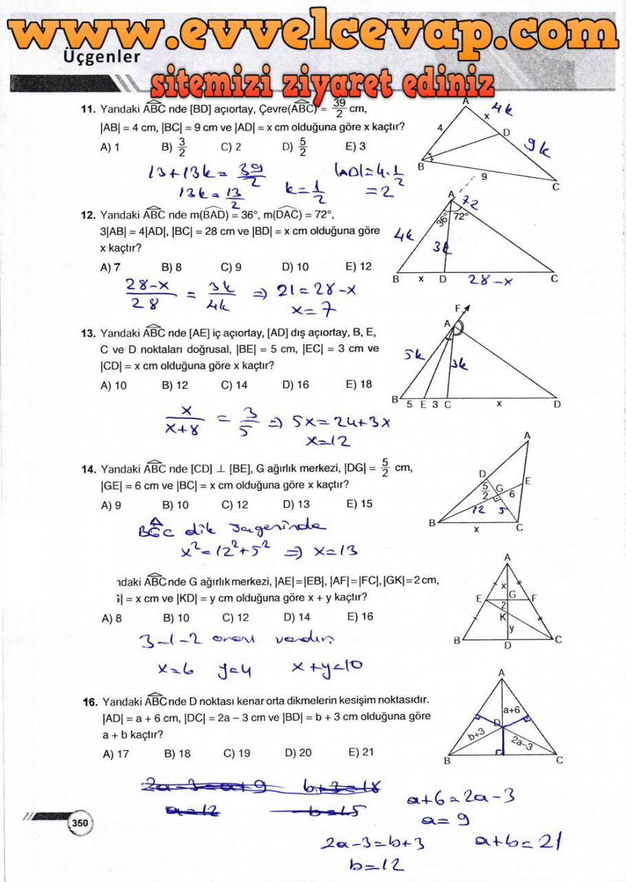 9. Sınıf Ödev Yayınları Matematik Ders Kitabı Sayfa 350 Cevabı