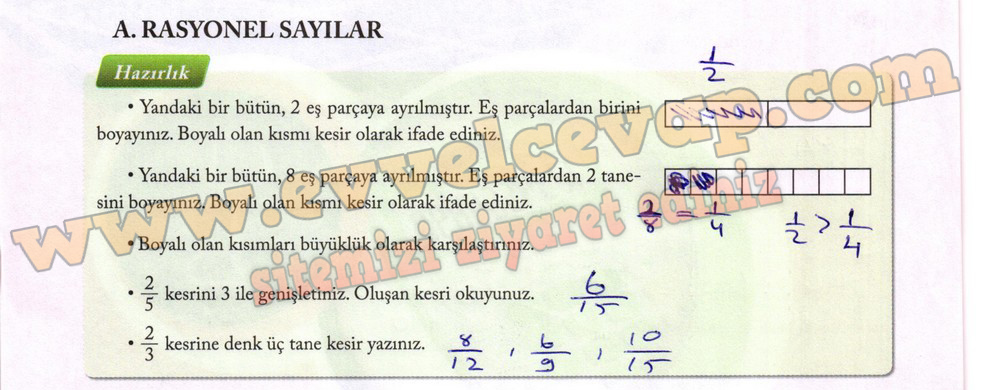 7. Sınıf Matematik Ekoyay Yayınları Ders Kitabı Sayfa 40 Cevapları 