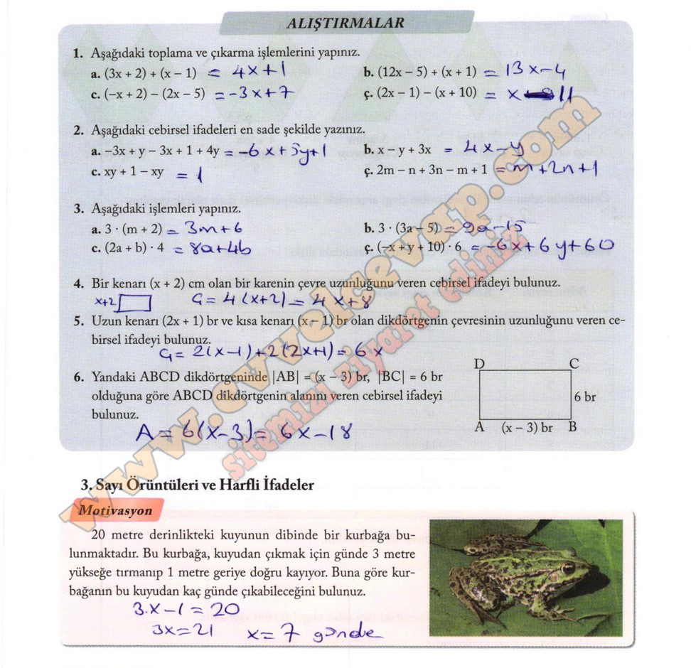7. Sınıf Matematik Ekoyay Yayınları Ders Kitabı Sayfa 95 Cevapları